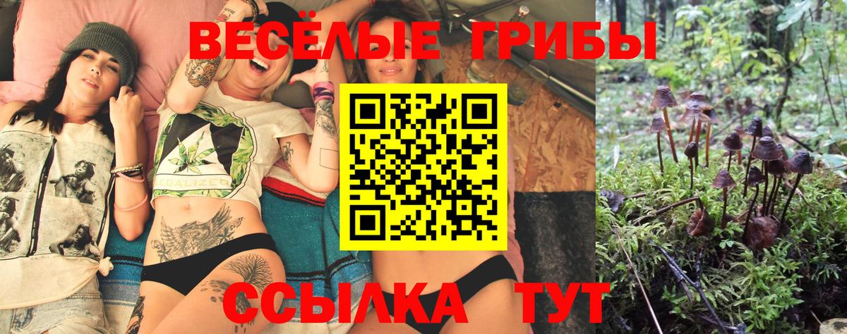 Галлюциногенные грибы мухоморы Кинешма